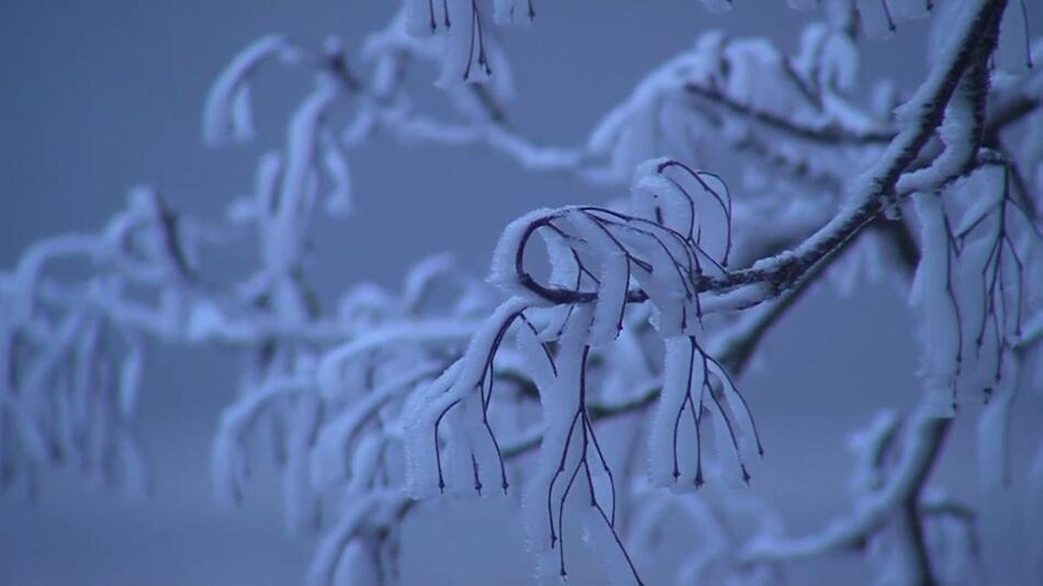 Wetterwechsel: Ab Sonntag ein erster Hauch von Winter