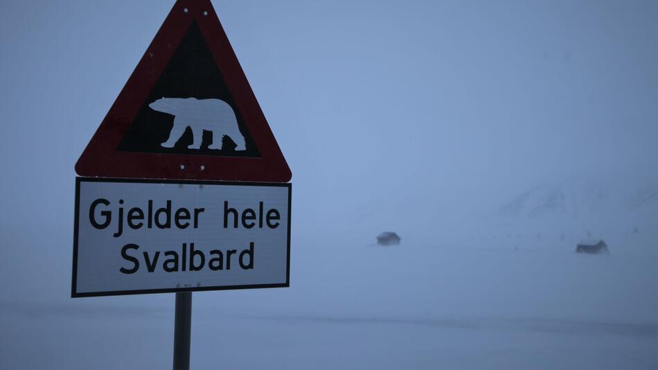 Reisegruppe in Spitzbergen in Bedrängnis: Eisbär erschossen