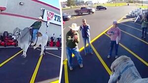 Mann reitet vor Einkaufszentrum auf Bullen – Polizist reagiert souverän