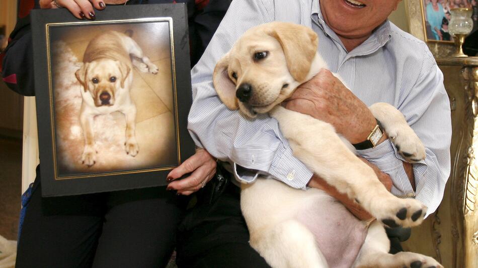 Sir Lancelot Encore wurde aus der DNA von Hund Sir Lancelot (L, Foto) geklont, der an Krebs starb.