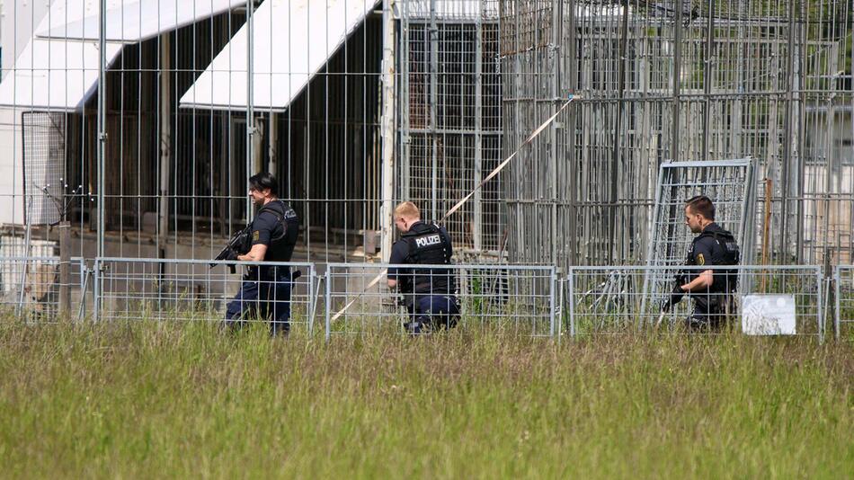 Entlaufener Tiger erschossen – Mann schwer verletzt