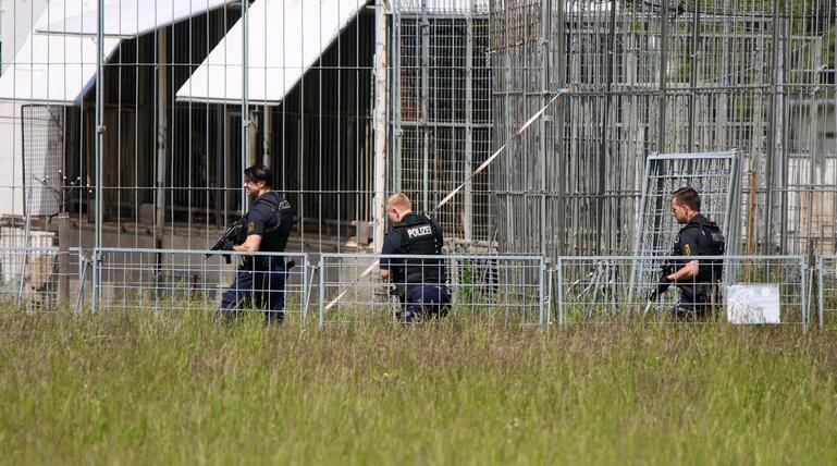 Polizei erschießt entlaufenen Tiger bei Leipzig