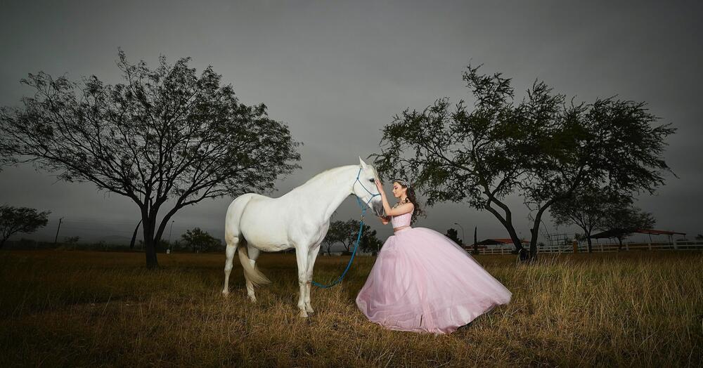 Ein Fotoshoot mit Pferd lässt Träume wahr werden.