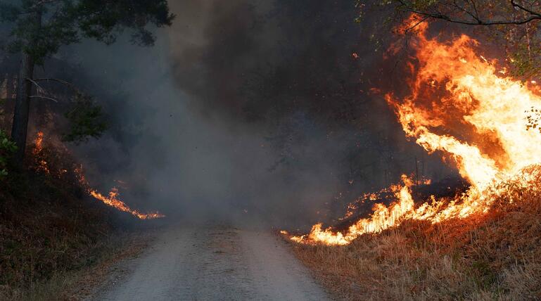 Waldbrand im Hürtgenwald