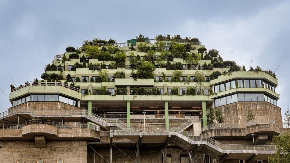 Der Grüne Bunker in St. Pauli