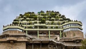 Der Grüne Bunker in St. Pauli