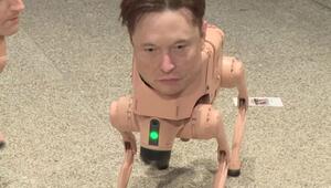 Elon Musk als Roboterhund: Neue Nationalgalerie in Berlin zeigt Ausstellung des Künstlers Beepl