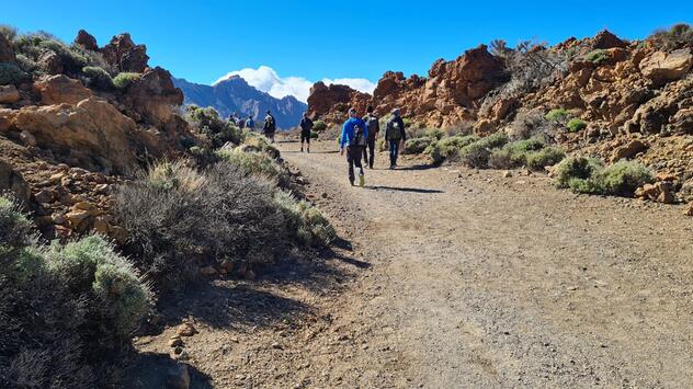Vulkanlandschaft auf Teneriffa