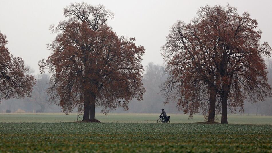 Trübes Wetter in Sachsen