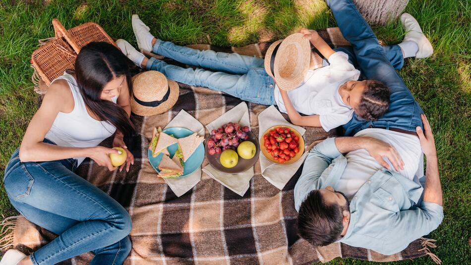 picknick, picknickdecke, picknickkorb, picknicktasche, sommer, outdoor, ideen