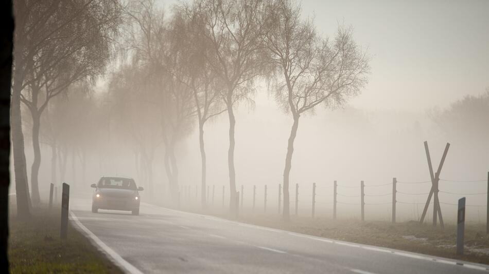 Nebel auf der Straße