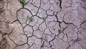 Luftaufnahme von Erdboden, der aufgrund von Austrocknung aufspringt und Risse bildet