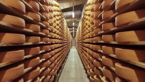 US-Zoll-Hammer lässt Schweizer Käse-Produzenten zittern