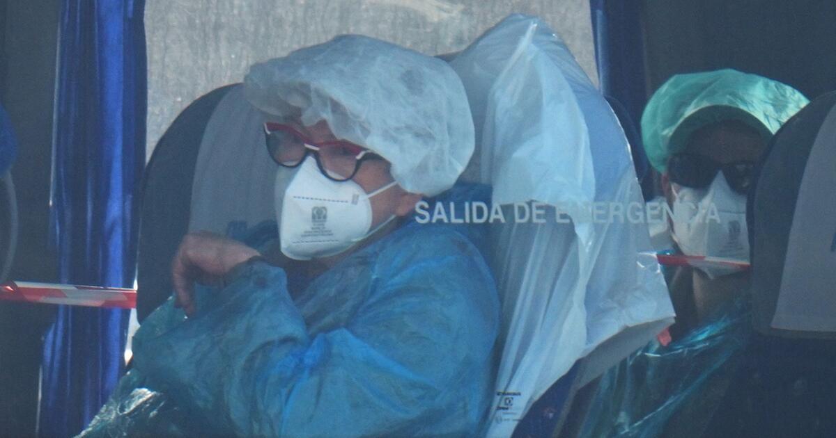 Evakuierte Deutsche Kommen Nach Hantavirus Ausbruch Nach Frankfurt GMX evakuierte-deutsche-kommen-nach-hantavirus-ausbruch-nach-frankfurt-gmx