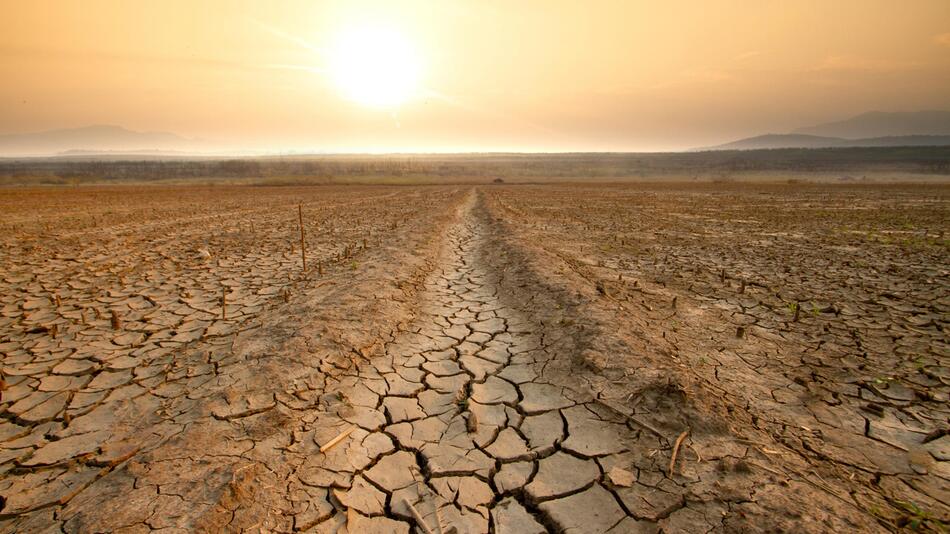 El Niño ist da: Droht uns das nächste Hitze-Rekordjahr?