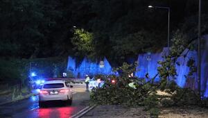 Unwetter in Stuttgart - Bäume umgekippt, 50 Einsätze
