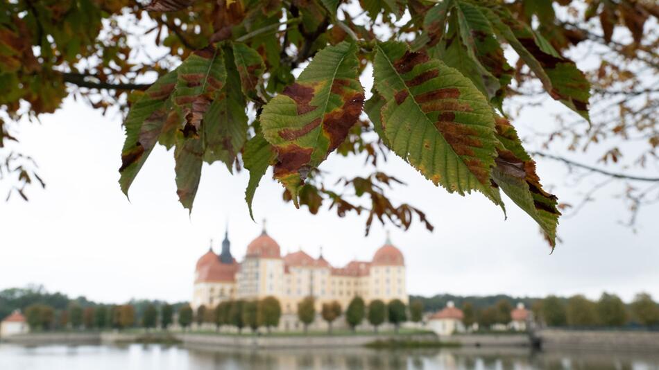 Herbst in Sachsen