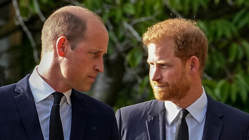 Prinz William und Prinz Harry