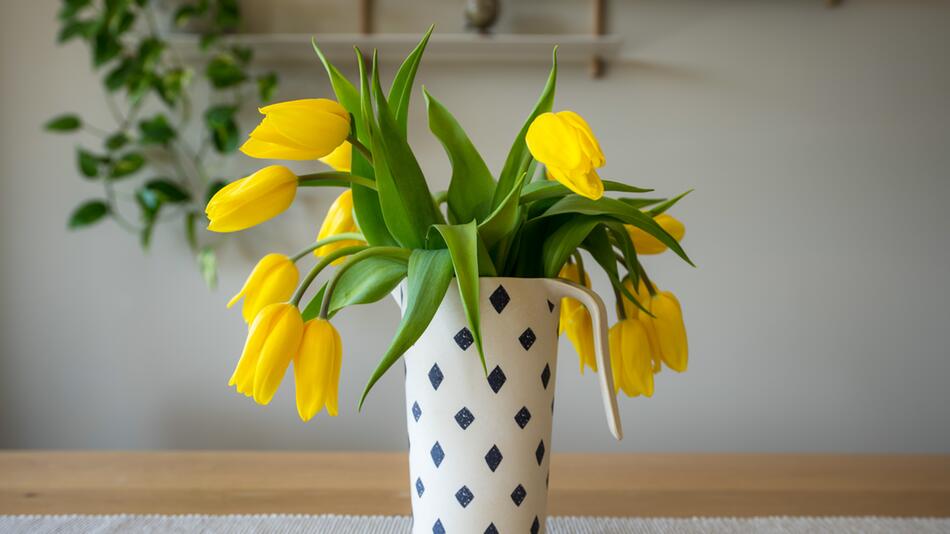 NICHT NEHMEN! Genialer Trick hilft: Wenn Tulpen die Köpfe hängen lassen