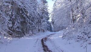 Frostige Weihnachtstage, aber kaum Aussicht auf Schnee