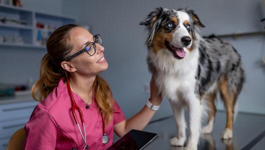 Tierärztin mit Hund