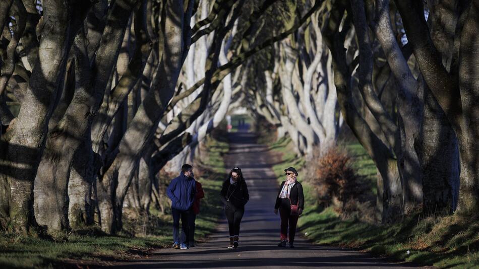 Naturschützer warnen vor Aus für "Games of Thrones"-Allee