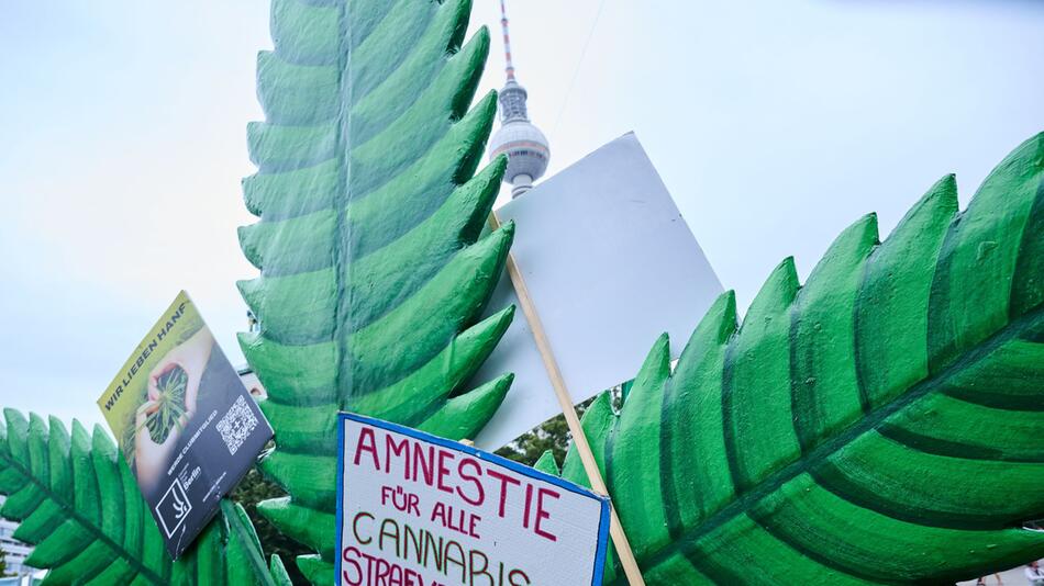 Cannabis-Legalisierung - sinnvoll oder gefährlich?