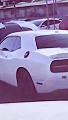 Blindfahrt in Texas: Krimineller flüchtet mit offener Motorhaube vor der Polizei