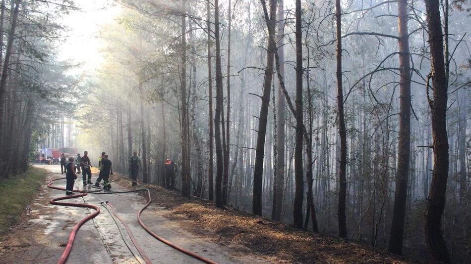 Großer Waldbrand bei Potsdam