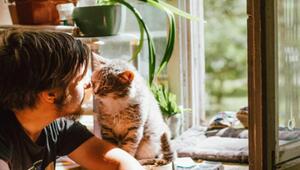 Katzen nutzen bevorzugt das rechte Nasenloch.