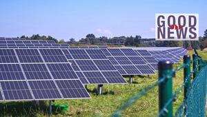 Reihe von Solarpanelen auf einer grünen Wiese unter klarem blauem Himmel, rechts im Bild ein ...
