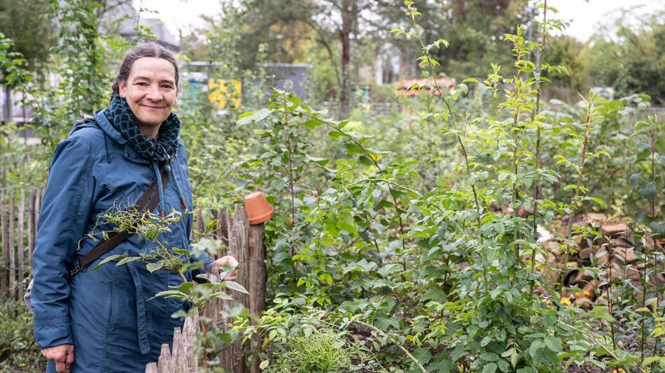 Mini-Wälder sollen mehr Grün in die Städte bringen