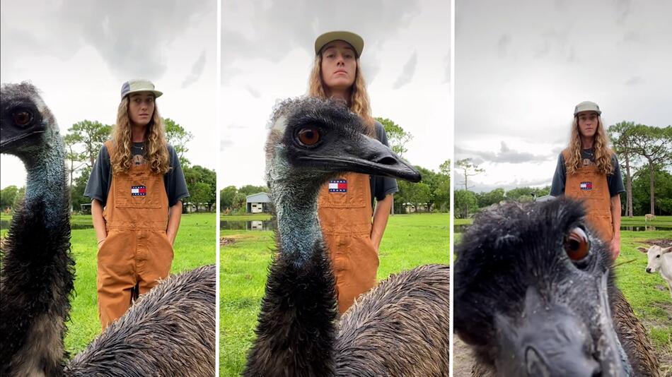 Kurioser Internet-Hype: Emmanuel der Emu ist der neue Mega-Star auf TikTok