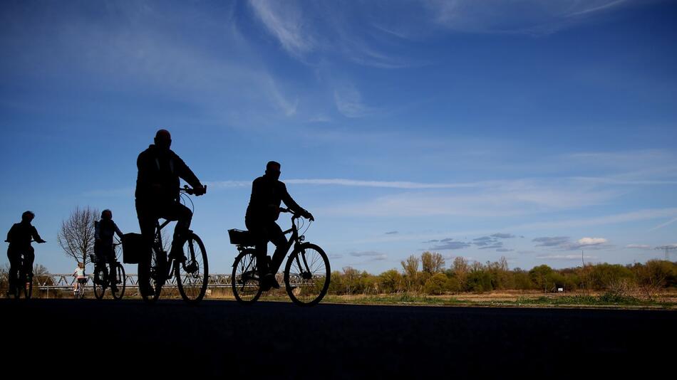 Fahrradfahren Elberadweg