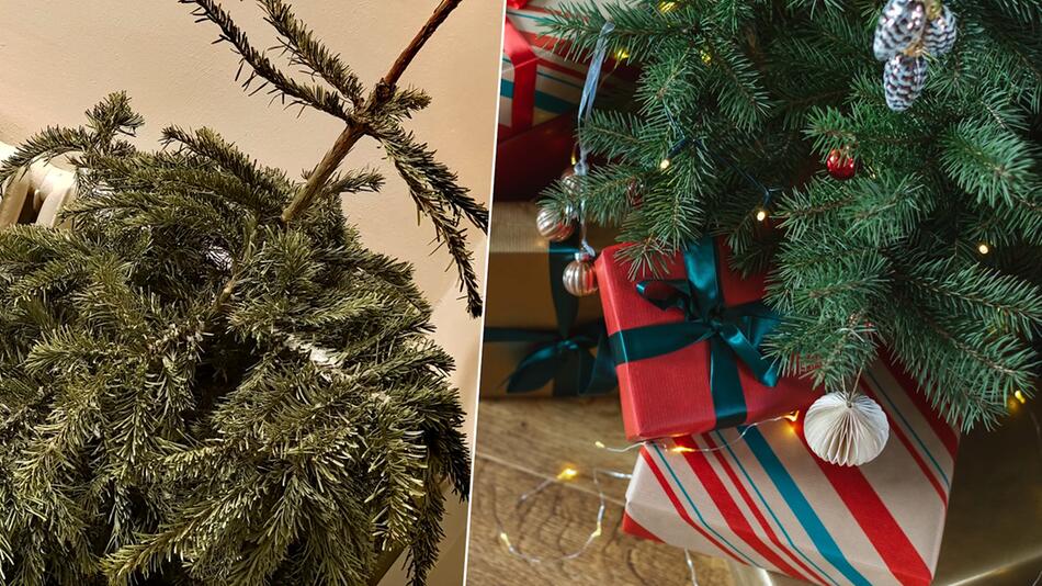Tipps und Tricks: So hält ihr Weihnachtsbaum länger